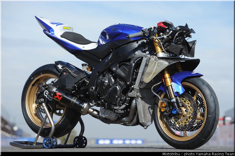 r6ss_2009_007