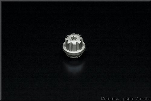 0117-yamaha-vmax2009-117.jpg