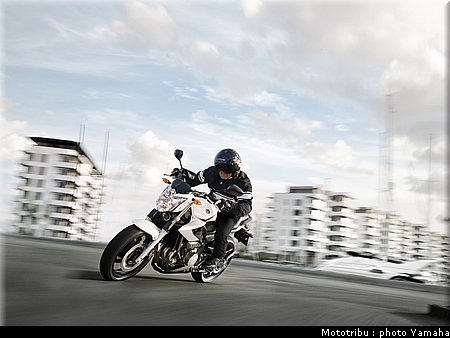 yamaha_xj600_007.jpg