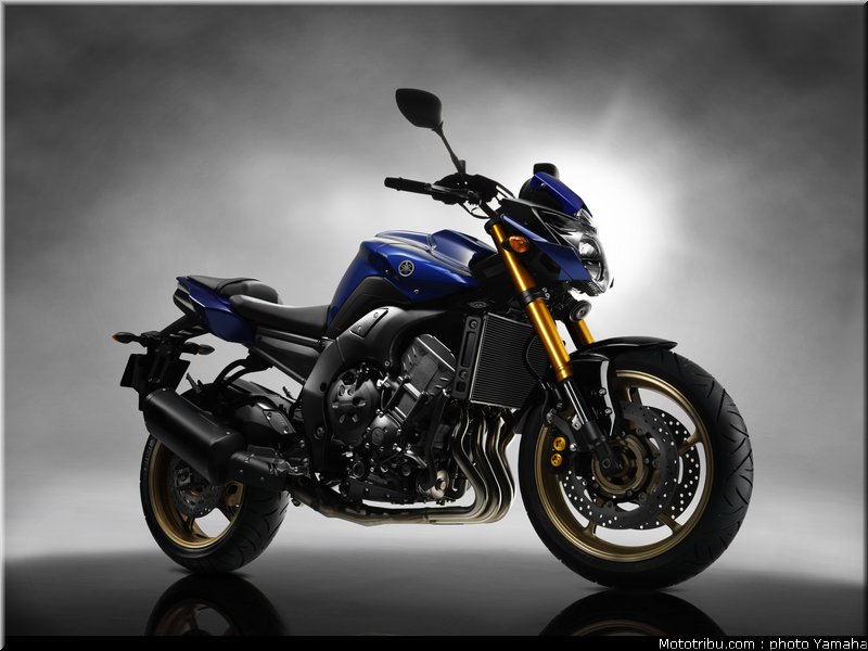 yamaha_fz8_2010_005