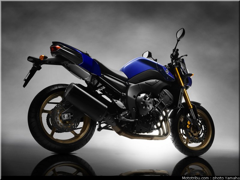 yamaha_fz8_2010_006