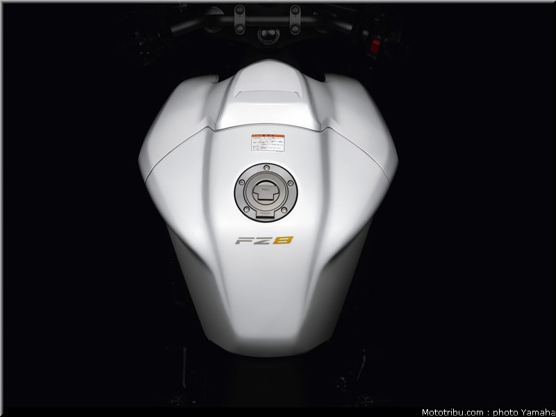 yamaha_fz8_2010_026