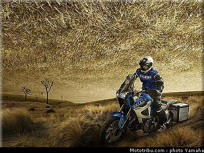 yamaha_super_tenere_2010_002.jpg