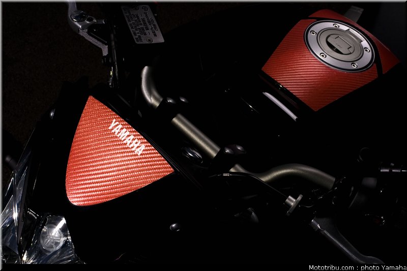 yamaha_fz8_red_line_2011_01
