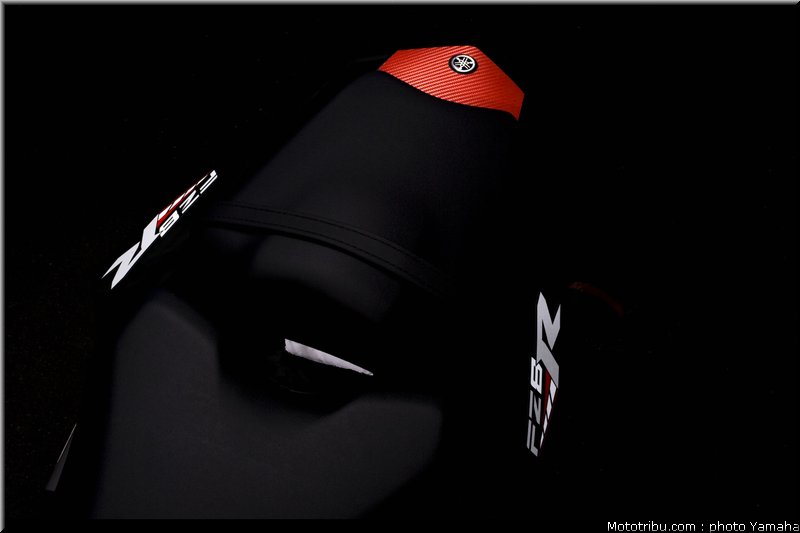 yamaha_fz8_red_line_2011_09