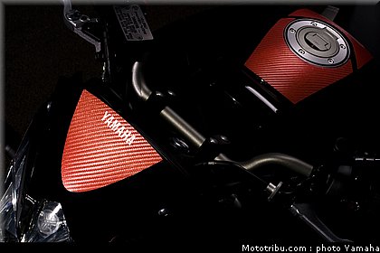 yamaha_fz8_red_line_2011_01.jpg