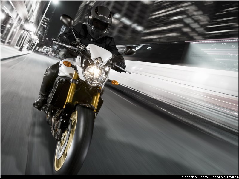 yamaha_fz8n_2011_002