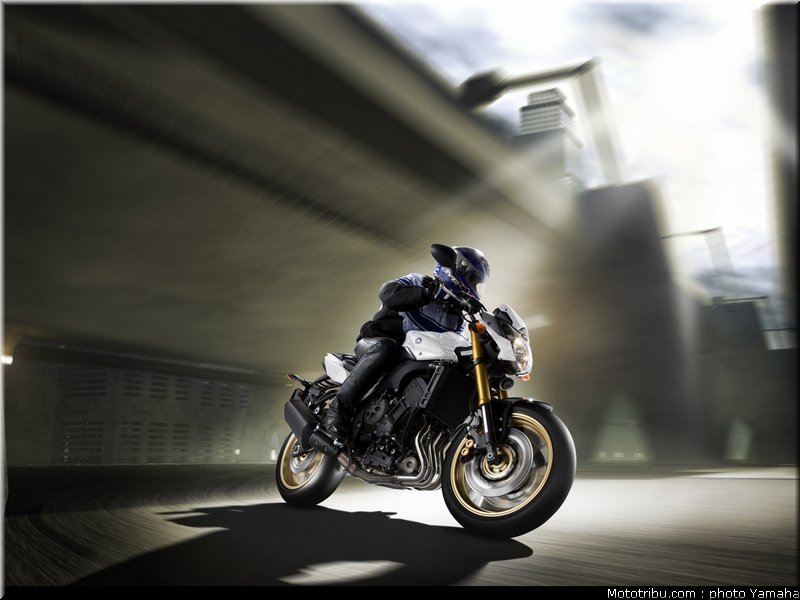 yamaha_fz8n_2011_003
