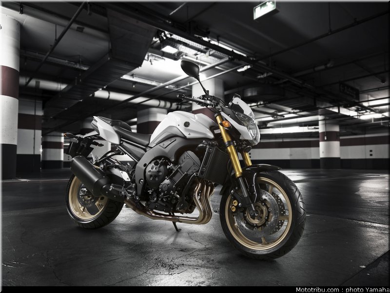 yamaha_fz8n_2011_005