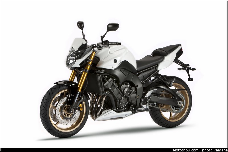 yamaha_fz8n_2011_030