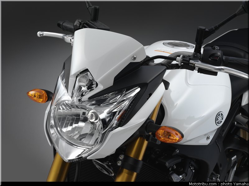 yamaha_fz8n_2011_047