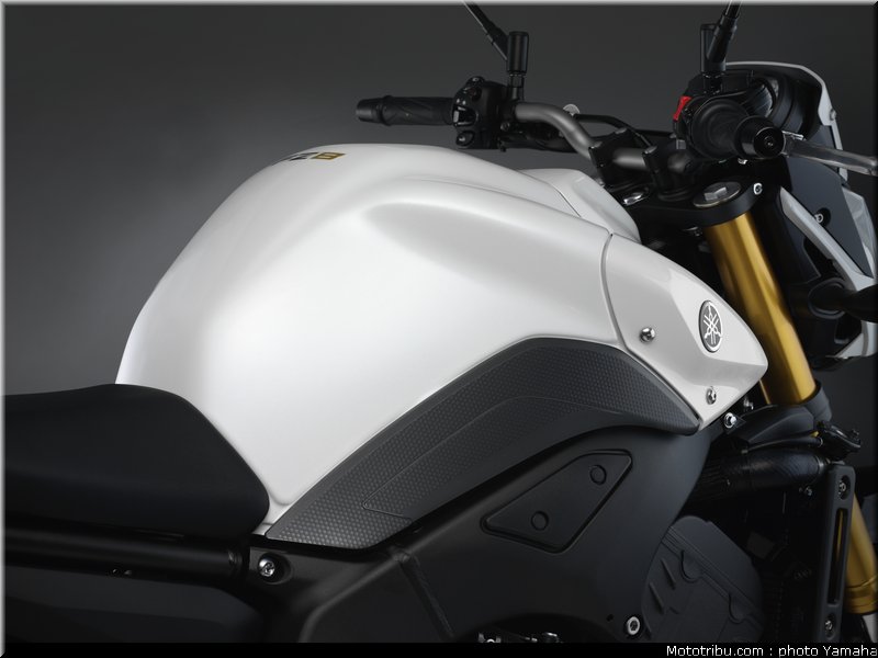 yamaha_fz8n_2011_049