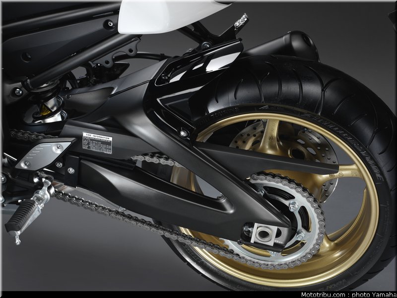 yamaha_fz8n_2011_051