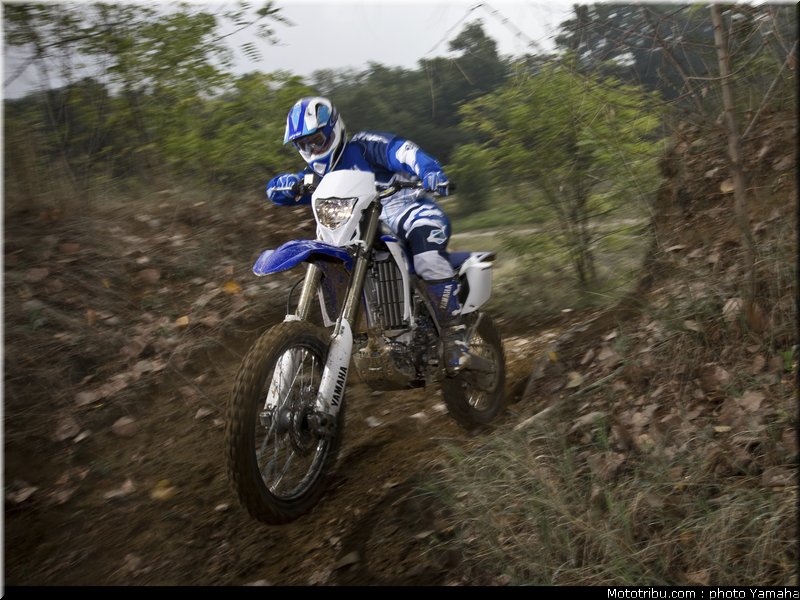 yamaha_wr_450_f_2012_002
