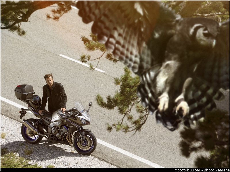 yamaha_2013_fazer_8_005