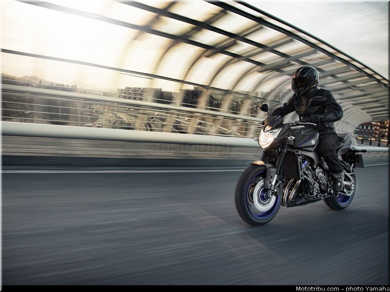 yamaha_2013_fz8_002