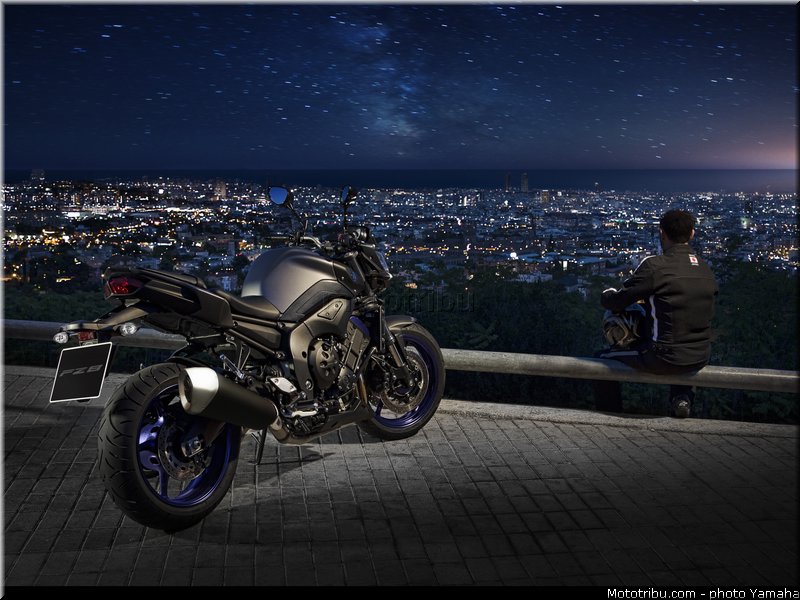 yamaha_2013_fz8_007