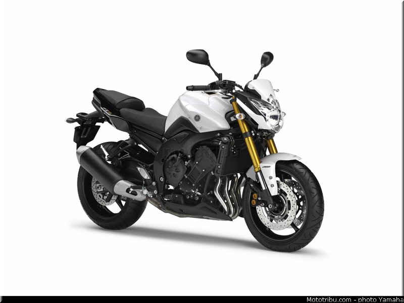 yamaha_2013_fz8_012
