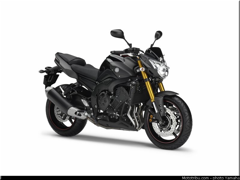yamaha_2013_fz8_014