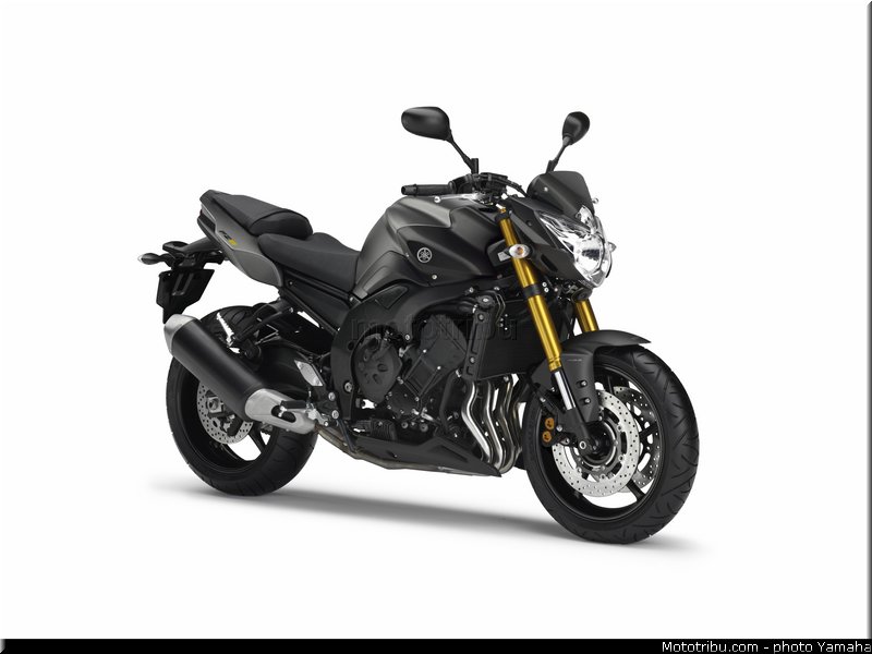 yamaha_2013_fz8_015