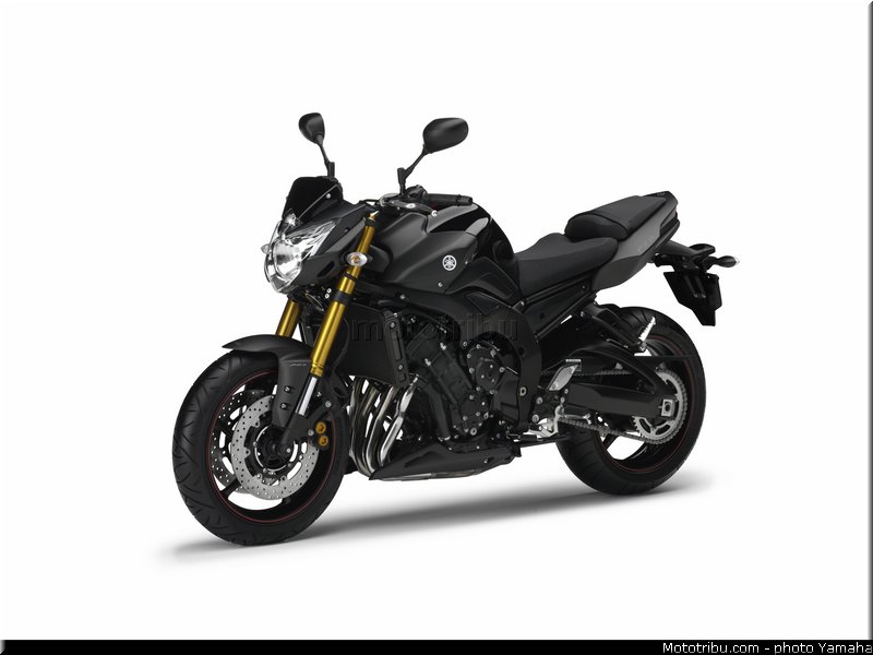 yamaha_2013_fz8_019