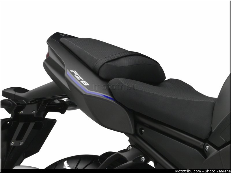 yamaha_2013_fz8_033