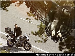 yamaha_2013_fazer_8_005.jpg