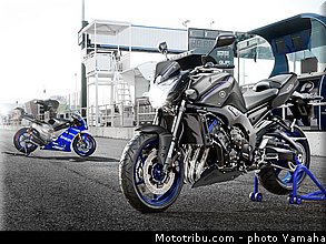yamaha_2013_fz8_009.jpg