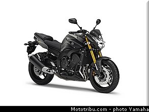 yamaha_2013_fz8_015.jpg
