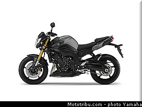 yamaha_2013_fz8_028.jpg