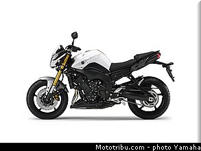 yamaha_2013_fz8_029.jpg