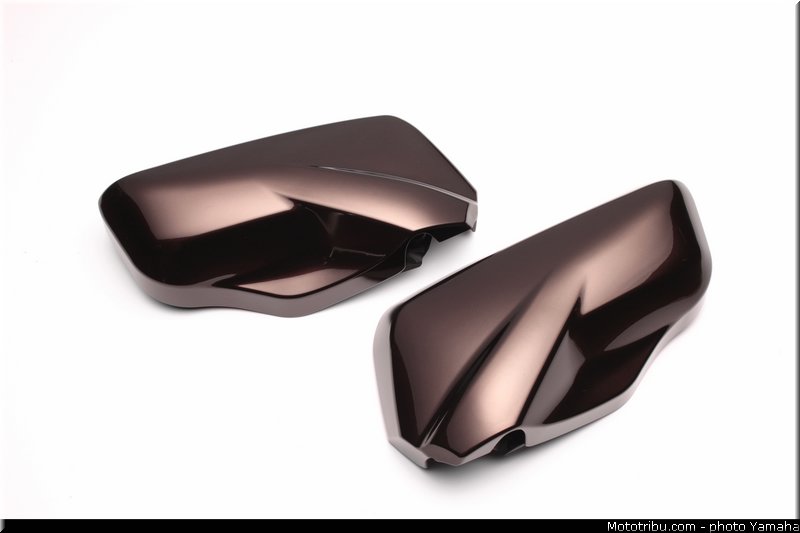 yamaha_2013_fjr_1300_a_098