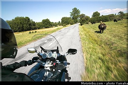 yamaha_2007_fjr_1300_a_001.jpg