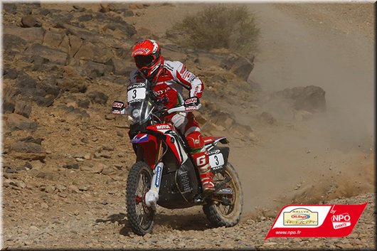 GONCALVES